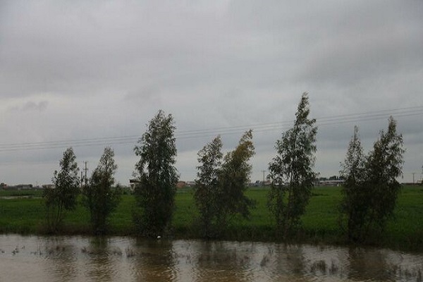 کشاورزان محصولات خود را بیمه کنند